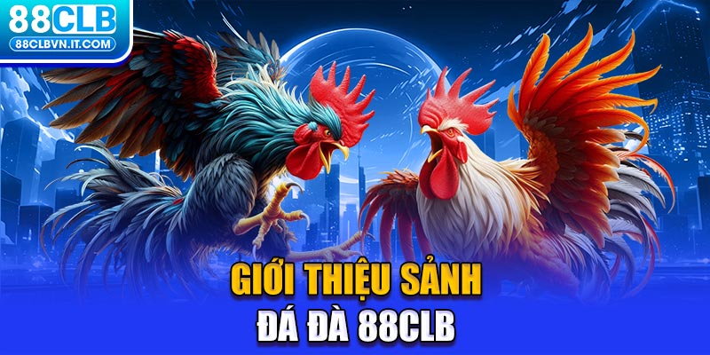 Giới thiệu sảnh đá đà 88CLB