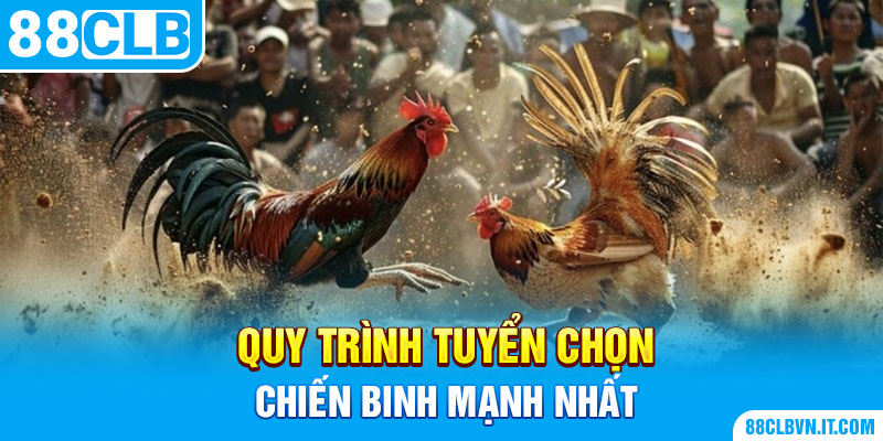 Quy trình tuyển chọn chiến binh mạnh nhất