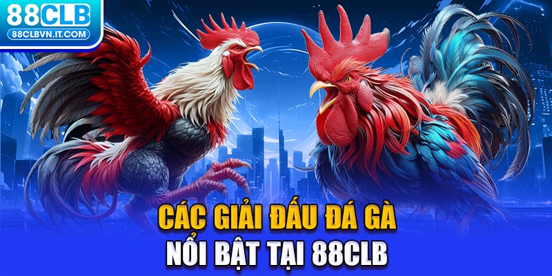 Các giải đấu đá gà nổi bật tại 88CLB