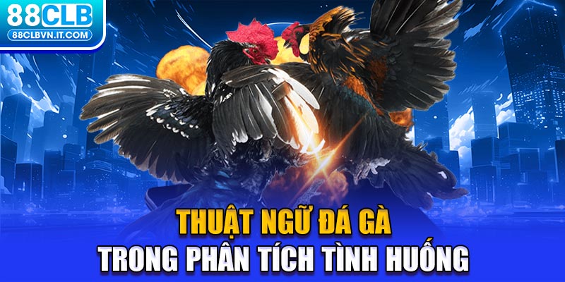 Thuật ngữ đá gà trong phân tích tình huống